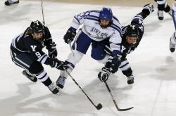 爱游戏在线-末节之王，克里斯·保罗如何用智慧与坚韧导演黄蜂逆转骑士