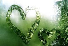 爱游戏体育-肯尼亚马拉松选手冲刺狂飙，无人可及的简单介绍