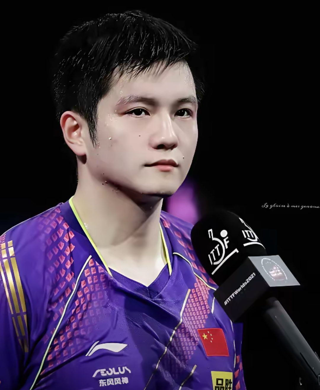 法国乒乓球队血洗德国乒乓球队，樊振东绝境逆转的简单介绍