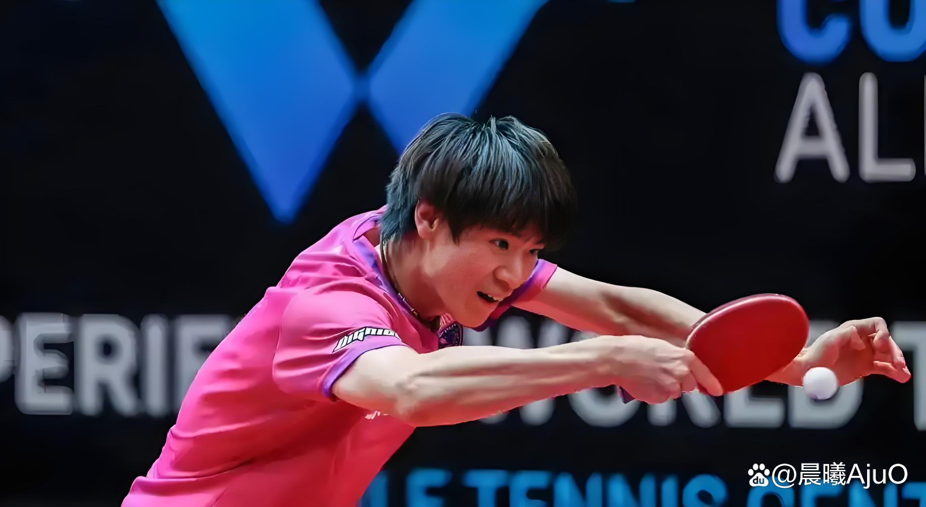 包含德国乒乓球队鏖战日本乒乓球队，王皓高光表现的词条