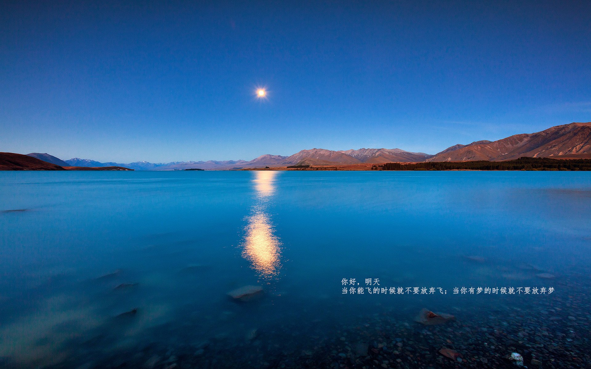 关键时刻的福克斯,领袖光芒照亮鹈鹕狂胜之夜